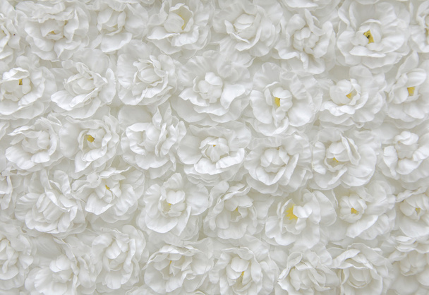 witte bloem van het weefsel, floral achtergrond - Foto, afbeelding
