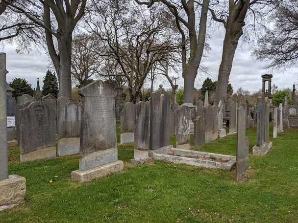 Glasnevin Cemetery, największy cmentarz w Dublinie, Irlandia - Zdjęcie, obraz
