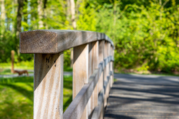 Close-up and in focus of the front of the railing on the wooden bridge over a stream with lush green trees and vegetation in the background, sunny spring day in a public park - Foto, immagini
