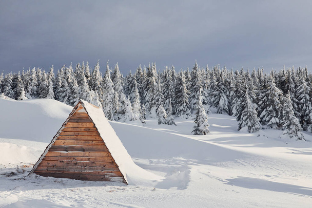 Part of wooden building on the ground. Magical winter landscape with snow covered trees at daytime. - Foto, Imagen