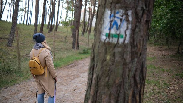 kobieta stojąca w lesie z żółtym plecakiem - Zdjęcie, obraz