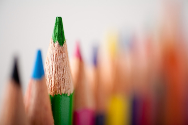 Крупный план многоцветных карандашей. Зеленый карандаш
 - Фото, изображение