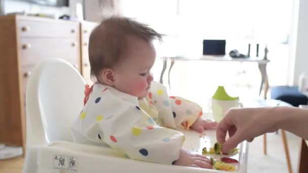 The hand of the mother who is showing broccoli to her 7-month caucasian daughter - Materiaali, video