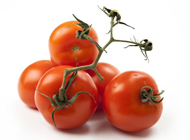 Close-up on tomatoes on branch - Photo, Image