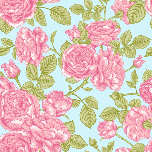 Pattern with pink roses - Vetor, Imagem