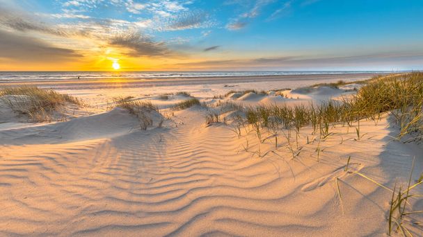Pláž a duny Nizozemské pobřeží krajina vidět z Wijk aan Zee nad Severním mořem při západu slunce, Nizozemsko - Fotografie, Obrázek