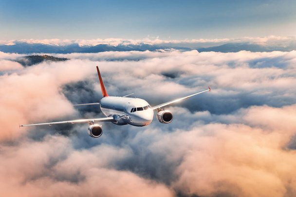 El avión vuela por encima de las nubes al amanecer en verano - Foto, Imagen