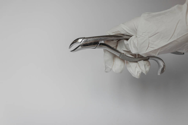 Human hand in white glove holds a dental extraction forceps. White background. For removing the sick tooth. Orthodontic surgery for humans and animals. Dental care and vet medicine concept. - Valokuva, kuva