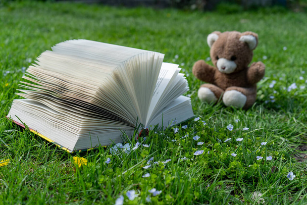 Open book on green grass, little teddy bear in the background. Education kids concept. Fantasy or fairy tale book - Fotó, kép