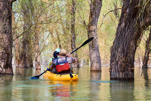 Married couple paddle a yellow kayak in wilderness areas at Danube river among flooded forest at spring high water on Danube biosphere reserve. Spring kayaking and water tourism and recreational at spring - Photo, Image
