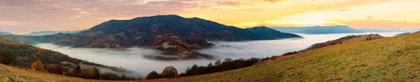 Ουκρανία. Μια μαγική φθινοπωρινή ανατολή, με ομίχλη να σέρνεται πάνω από κοιλάδες, πάνω από ορεινούς σχηματισμούς μακριά από τον πολιτισμό. Synevyr πέρασμα που βρίσκεται στα Καρπάθια βουνά. - Φωτογραφία, εικόνα