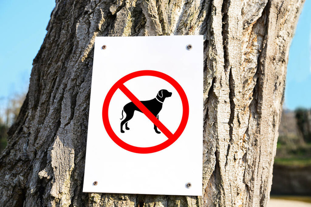 Sign NO DOGS ALLOWED on tree trunk outdoors - Valokuva, kuva