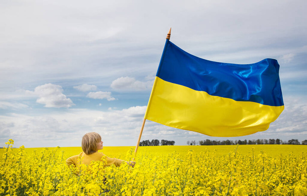 child, a small blond boy with a large Ukrainian flag among of a blooming yellow rapeseed field. prays for peace in Ukraine. celebration of independence day, flag day. Stop the war in Ukraine - Foto, Bild