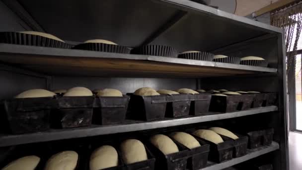 Jars for loaves of raw bread in bakery - Materiał filmowy, wideo