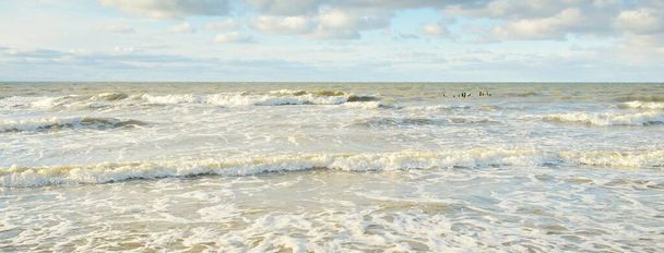 Vista panoramica sul Mar Baltico da una spiaggia sabbiosa (dune di sabbia). Cielo limpido con nuvole incandescenti, onde e spruzzi d'acqua. Un paesaggio marino idilliaco. Clima invernale caldo, cambiamento climatico, natura - Foto, immagini