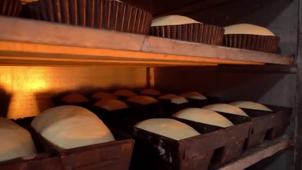 Jars for loaves of raw bread in bakery - Filmati, video