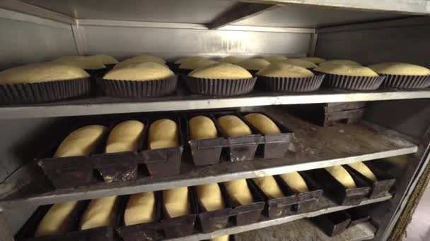 Nádoby na bochníky syrového chleba v pekárně - Záběry, video