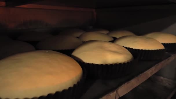 Κριθάρι για καρβέλια ακατέργαστου ψωμιού σε αρτοποιείο - Πλάνα, βίντεο