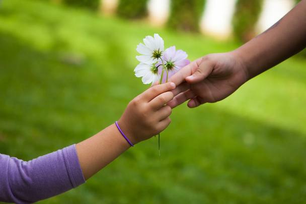 Χέρι του παιδιού, δίνοντας λουλούδια για το φίλο - Φωτογραφία, εικόνα