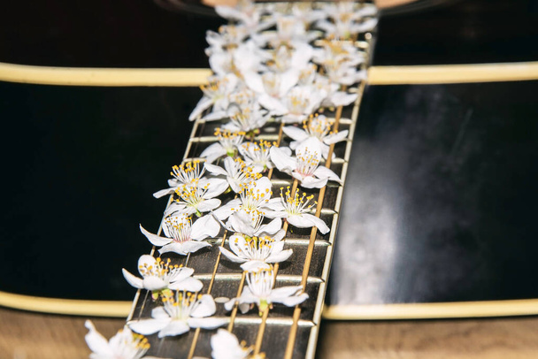 Fehér virágok a gitáron. Melodikus hangszer. Gitározz! - Fotó, kép