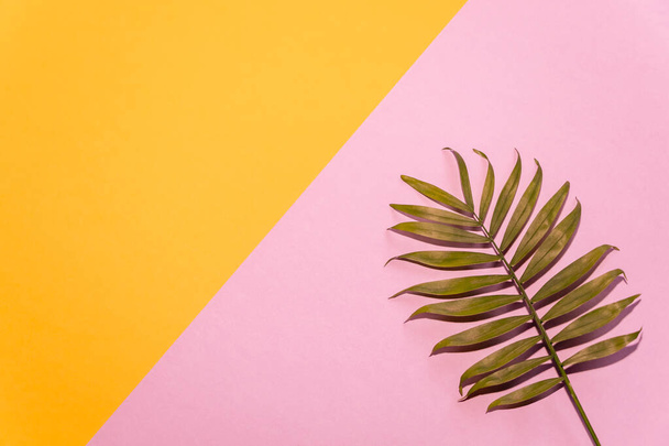 Tropische felgekleurde achtergrond met exotisch geschilderde tropische palmbladeren. Zomer Gestileerd. Minimale surrealistische achtergrond. - Foto, afbeelding