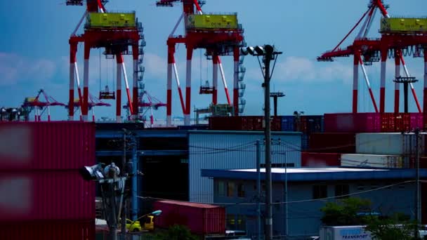 Un laps de temps de déplacer des grues près de l'entrepôt à Tokyo longue vue panoramique - Séquence, vidéo