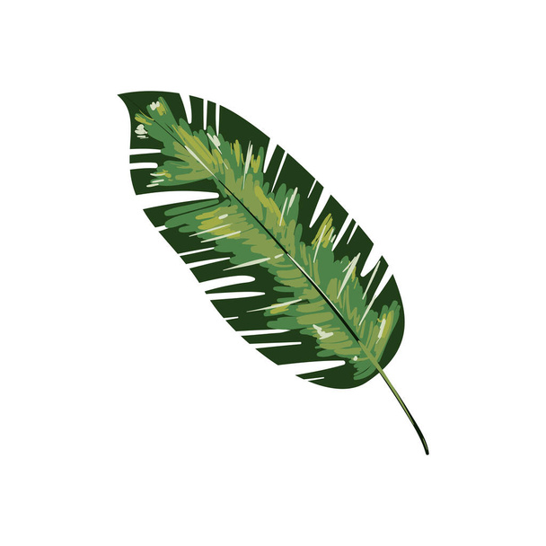 flat realistic plant leaf design - Wektor, obraz