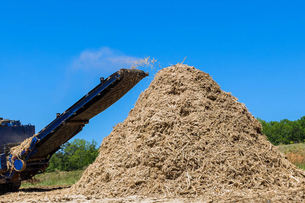Close-up conveyor of an industrial wood shredder producing wood chips from roots - Foto, Imagen