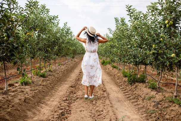 Girl in a beautiful apple orchard. Woman in a straw hat and white dress in the summer in the garden - Photo, Image
