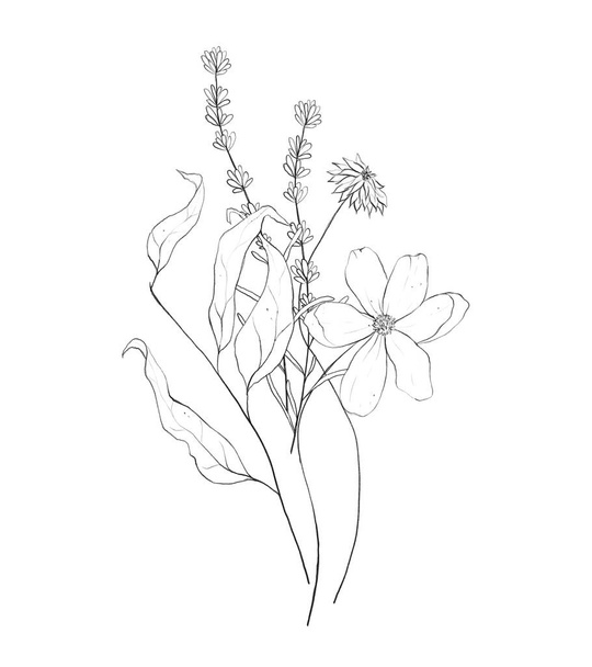 Bouquet botanique de fleurs sauvages. Croquis au crayon floral abstrait dessiné à la main - Photo, image