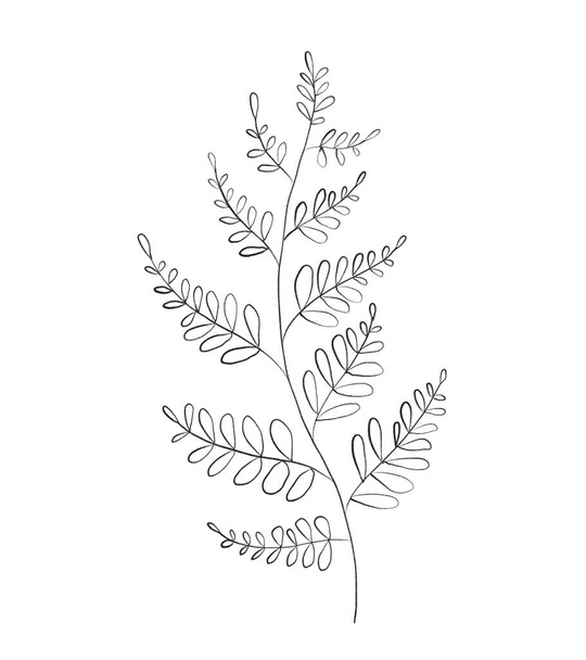 Ботанічне оформлення квіткової гілки, листя. Ручний малюнок квіткового абстрактного олівця. - Фото, зображення