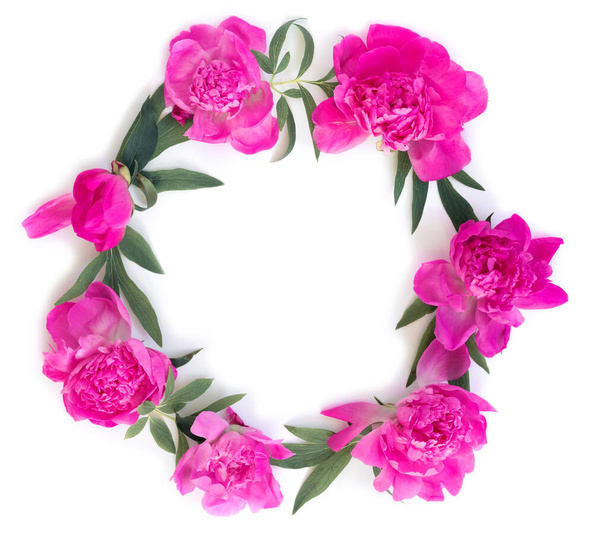 Round garland of beautiful pink peonies on white isolated background. Creative floral wreath. - Φωτογραφία, εικόνα