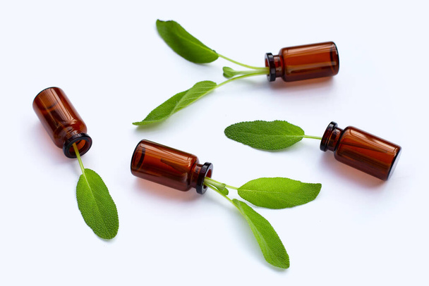 Sage leaves with essential oil bottles on white background. - Фото, зображення
