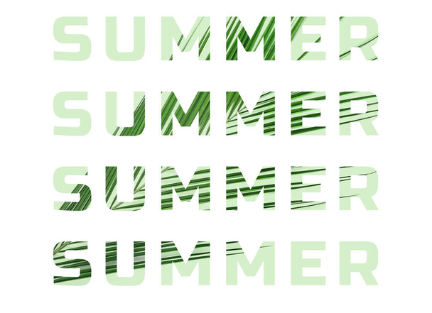 Λέξεις Καλοκαίρι γεμάτο με υφή τροπικού φύλλου σε λευκό φόντο - Φωτογραφία, εικόνα
