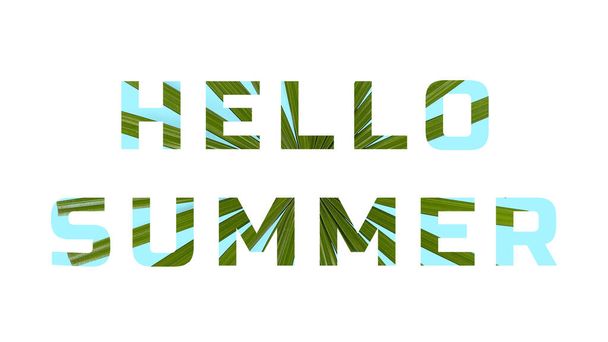 Text HELLO SUMMER filled with texture of tropical leaf on white background - Foto, afbeelding