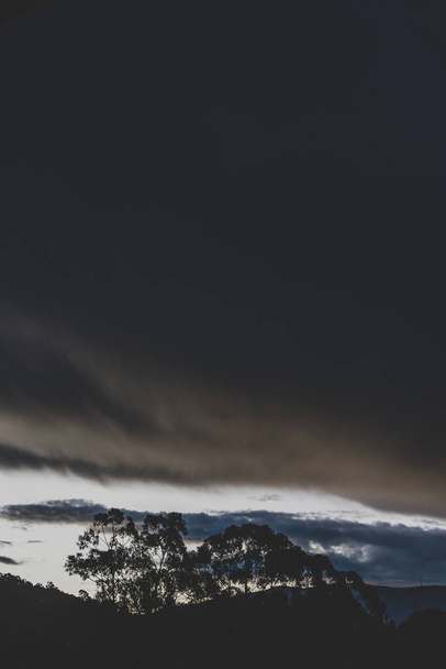 stormy dusk over the mountains with eucalyptus gum trees silhouettes shot in Tasmania in winter - Фото, изображение