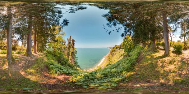 Orto botanico Georgia Batumi cielo blu alberi di mare primavera con panorama sferico 3D con 360 gradi angolo di visione Bellissimo sfondo Pronto per la realtà virtuale in vr Proiezione equirettangolare completa - Foto, immagini