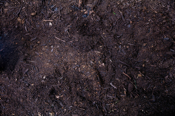 Soil texture background, top view. Fertile dirt, Earth, ground close up. Agriculture and garden works templat - 写真・画像