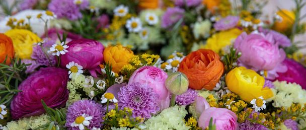 Taze renkli yabani çiçekler ve otların arka planı, yakın görüş. Bahçe doğası çiçek açıyor, Bahar. Kadınlar ya da Anneler Günü buketi, bayrak - Fotoğraf, Görsel