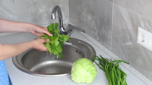 housewife washes spinach in the kitchen for salad. close-up - Filmati, video