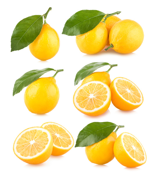Nastavit pf 6 citron obrazy - Fotografie, Obrázek