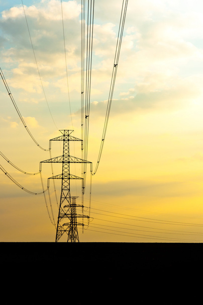 Electric lines with sunset - Photo, Image