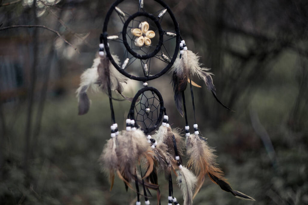 Dreamcatcher, amuleto de xamã místico espiritual pendurado na floresta - Foto, Imagem