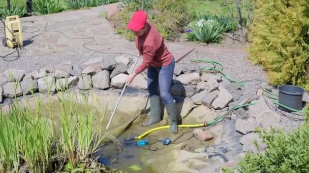 Frau mit Kescher fängt Fische, bevor sie einen dekorativen Gartenteich reinigt - Filmmaterial, Video