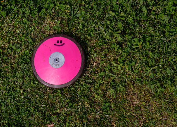 Vue grand angle du disque rose hors centre dans l'herbe verte - Photo, image