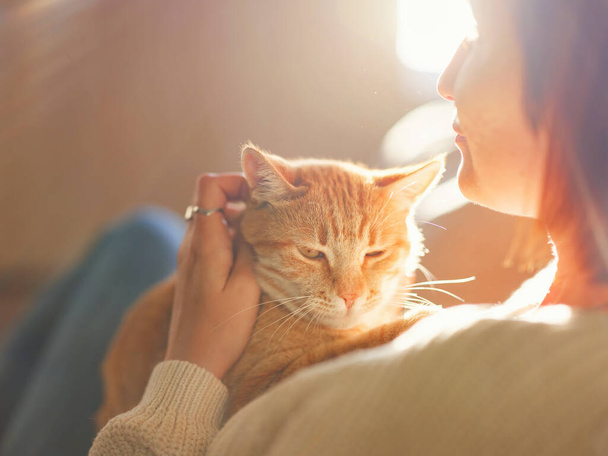 Young asian woman wears warm sweater resting with tabby cat on sofa at home one autumn day. Indoor shot of amazing lady holding ginger pet. Morning sleep time at home. Soft focus. - Foto, immagini