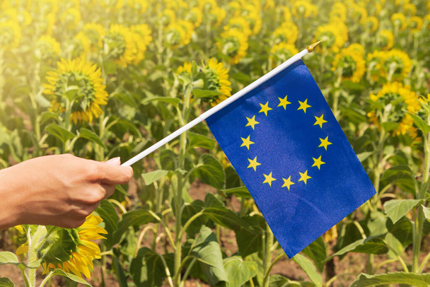 in the women's hand a small blue flag of the European Union, against the background of blooming sunflower, the concept of friendship and joint activity, close-up - Φωτογραφία, εικόνα