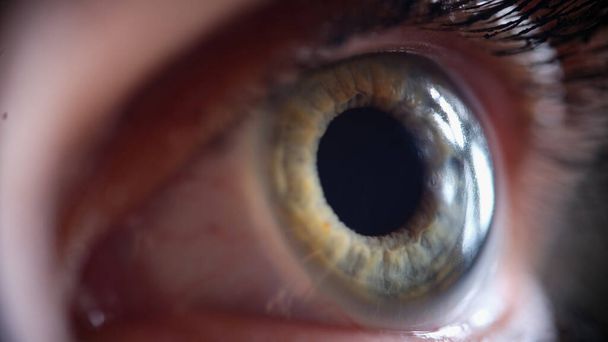 Жіноче чарівне зелено-блакитне око з віями
 - Фото, зображення