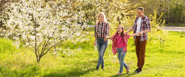 family walk the cherry trees - Foto, Bild