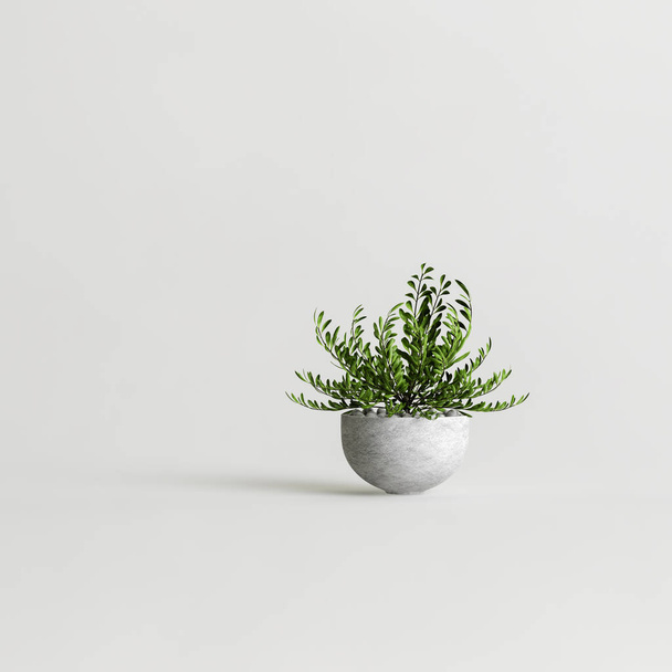 3d illustration of concrete houseplants isolated on white background - Foto, afbeelding